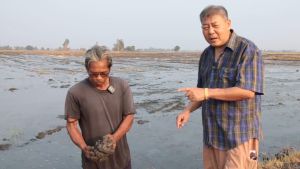 กู้ดิน อีเน่าโปร2ชุด