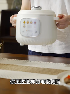 Stainless Steel Rice Cooker 2L Electric Rice Cooker Low Sugar Rice Cooker Mini Rice Cooker Smart Rice Cooker Multifunctional Cooking Machine 电饭锅 不锈钢电饭煲