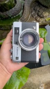 YASHICA ELECTRO 35GX ฟางซื้อย้อนหลัง 40mm.F1.7 โดย YASHICA COLOR-YASHINON DX