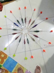 phao câu lục 2 ngọn ngày đêm