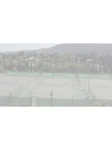 Tecnifibre | Polyester Hard Tennis String