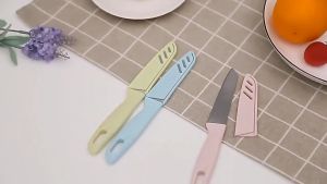 PISAU BUAH WARNA PISAU DAPUR