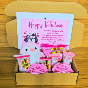 ✨ Pink Penguin Gift Set for Her Valentines Christmas Birthday Monthsary Free Message