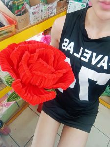纯手工扭扭棒制作巨型玫瑰花handmade Rose