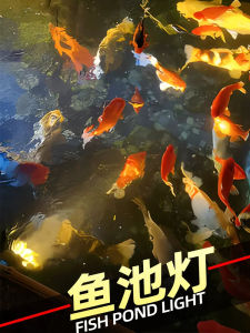 Underwater Fish Pond Lamp Artificial Mountain Waterfall Waterproof Colorful Lamp Modern Simplicity Stainless Steel Glass Steel