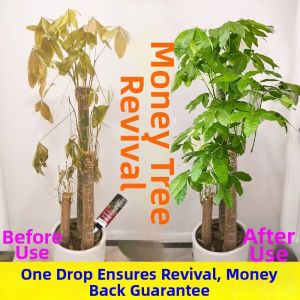 RUYI | Yellowing Leaves Treatment Revival Nutrient Solution Water Cultivation