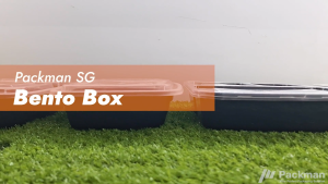 2/3/4 Compartment Plastic Bento Box Disposable Lunch Box with Lid