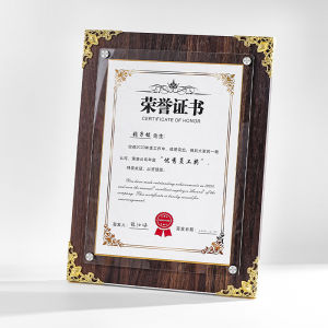 Certificate & Award Display Frame