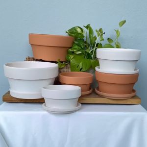 3 รายได้ ชุดของกระถางก้นตื้น บัวบกโขด บอนไซ ปลูกแคคตัส ไม้โขด