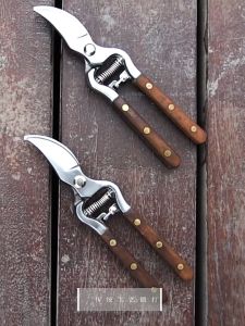 GUNTING DAHAN POLISH HD GUNTING KEMBANG BAGUS GUNTING STEK BAJA CARBON 220MM