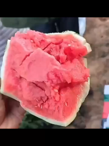 น้ำแข็งคิรินเมล็ดฟักทองเมล็ดฟักทองฤดูใบไม้ผลิฤดูใบไม้ผลิฤดูใบไม้ผลิลูกอมหวานแตงโม corerl