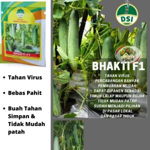Benih Bibit Timun Hijau Besar Tahan Virus BHAKTI F1 160 Biji Cap Kujang