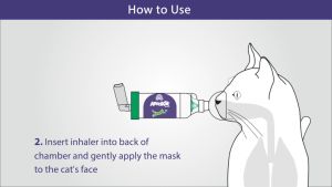 Aerokat กระบอกพ่นยา สำหรับแมว กระบอกพ่นยาแมว กระบอกยาแมว - Lazada