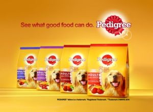 Pedigree Chicken/Beef/Lamb3KG (Dog Food)