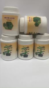 Phân bón siêu nù lá mít mập thân lá - Chuyên Cho Lan Dưỡng Mập Cây Xanh Lá Bản Nâng Cấp - lọ 100g - MAI HUY SINCE 2008