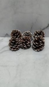9 PCS Hiasan Pohon Natal Pinus Mini Gantungan Pinus Salju Hiasan Gantung Pohon Natal Ornamen Xmas Tree Christmas Pine Tree Decorations Dekorasi Pohon Natal Gantungan Pohon Natal - Pinus Salju kecil