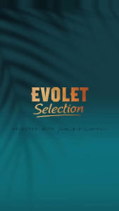 Evolet Selection Premium Tea – Crafted in Romani Exclusively designed for hotels restaurants and cafes