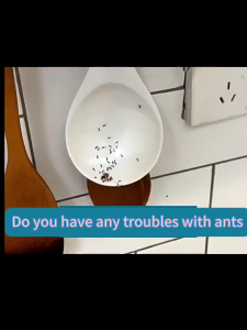 ⚡Effective coverage 100㎡⚡ant killer powder 3 bags ant killer