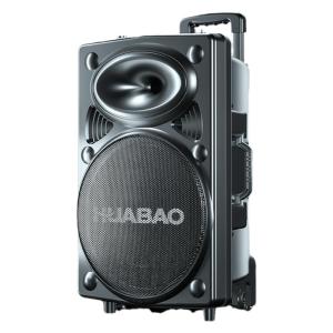HUABAO | Professional Outdoor K-Singing Bluetooth Speaker with Microphone High Volume