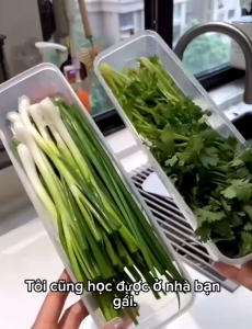 Hộp Nhựa Đựng Thực PhẩmMì Ngũ Cốc Rau Củ Hộp Bảo Quản Đồ Khô Có Nắp tiện dụng-ESTLA