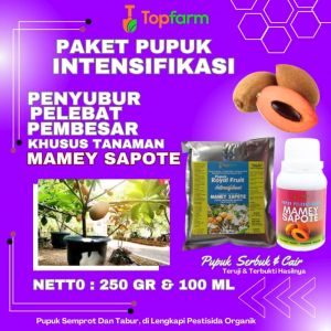 Pupuk Buah Mamey Sapote: Pemilihan & Penggunaan yang Tepat