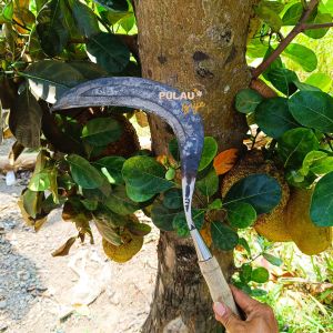 Sabit Baja Isen Asli Madura 27 cm Tajam & Kuat Cocok untuk Rumput & Padi