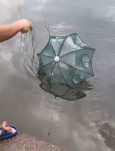 มุ้งดักปลา ที่ดักกุ้งฝอย อุปกรณ์ตกปลา กระชังปลา 4 ช่อง 6ช่อง 8ช่อง