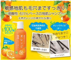 【无添加！洗净成分100%植物由来】Ishizawa Laboratory: Plant-born Orange scalp shampoo N (400ml)/石泽研究所: 植物由来香橙头皮护理洗发水(400ml)/石澤研究所：植物生まれのオレンジ地肌シャンプー （400ml）