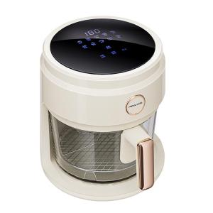 [China Plug Adapter Needed] APIXINTL | Visual Multi-Function Air Fryer 4L
