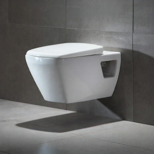 Wall Hung Toilet Space Saving Hidden Tank Water Saving