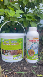 Combo - Trừ Tuyến Trùng Sinh Học Ung Trứng Chặn Tái Phát Và Tận Gốc Rễ - EnzymeChitini Nema