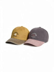 Champion | 2026 New Autumn Vintage Baseball Hat