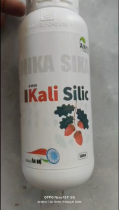 Kali Silic Hữu cơ nhập khẩu Ấn Độ-Cứng câyxanh lácứng trái lên cơm vô gạo chặn đọt_500ml pha 500l nước