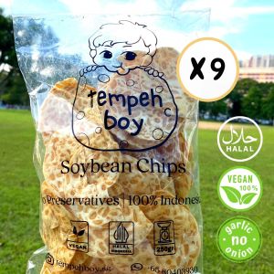 Famous [Tempeh Boy] Tempeh Chips (9 x 250g) - Halal/ Vegan/ Healthy Soybean Chips