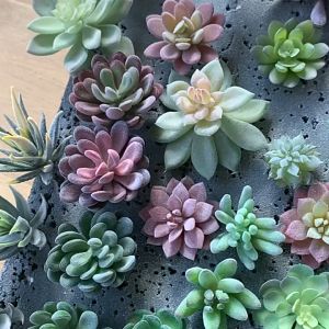 BUSH DIY Fake Plants Party Supplies Bedroom Home Garden Decoration Artificial Succulents Plants Green Desktop Mini Small Bonsai
