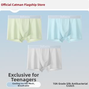 Miiow | Antibacterial Ice Silk Underwear For Teenage Boys Middle School Students Comfortable Mid Waist Flat Angle Shorts Pure Color