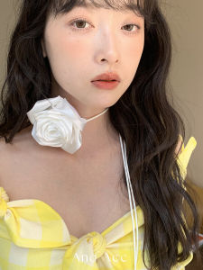 Handmade Multi-Color Choker Necklace Butterfly Knot 3D Rose Flower Womens Fashion Jewelry Accessory Fresh out New Style