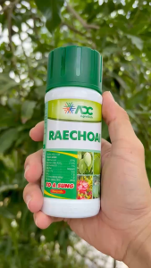 [COMBO 2 CHAI] Phân Hữu Cơ RAECHOAI (Chai 150ml)