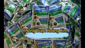 TRICHODERMA GÓI 1KG- MEN Ủ PHÂN HỦY XÁC BÃ THỰC VẬT - Ủ phân chuồng xác bã thực vật rác nhà bếp - xử lý mùi hôi
