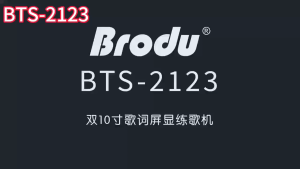 Brodu BTS-2123 150W RGB Portable Subwoofer Karaoke Wireless Bluetooth Speaker with Wireless Microphone