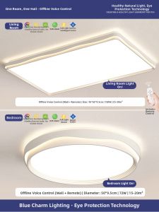 LAMME | Full Spectrum Elegant Eye-Protective Ceiling Light