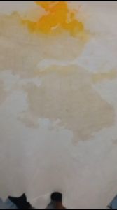 DNS Penghilang Noda Jamur Pakaian 1kg Aman Untuk Baju Semua Warna