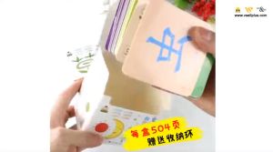 全套504页 儿童 象形看图 识字 认字 卡片有图 学汉字 基础识字 中文 Chinese Children Flash Cards