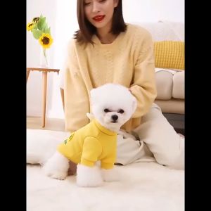 áo nỉ - áo ấm - áo thu đông 2026 thêu hoa hướng dương cho mùa lạnh dành cho chó mèo - T3 PETS SHOP