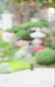 Bàn Chải Cước Lớn Cán Cong Khắc Tinh Của Mọi Vết Bẩn.