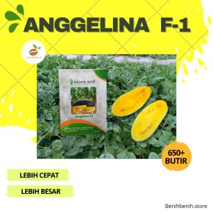 Benih Semangka Inul Kuning F1 Isi 650 Biji - Anggelina F1 - Bibit Semangka Inul Kuning Buah Besar Anti Virus - Benih Semangka Biji - isi 650 BIJI - ISTANA SEED