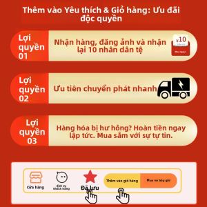 YOULUNMEI | Hộp Cơm Đựng Tiện Lợi Cách Nhiệt