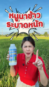 ช๊าคโทเอต (ไดเมโทเอต 40% กลุ่ม1B) สูตรเย็น กลิ่นเหม็นไล่นก-หนู ป้องกันและกำจัดแมลงหวี่ขาว เพลี้ยแป้งเพลี้ยออ่อนหรือเพลี้ยไฟ หนอนกอข้าว1 ลิตร