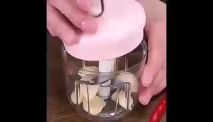HAILANG 250ml Cordless Garlic Cutter | USB Rechargeable 30W Powerful Motor - A Must-Have for Home Use Especially for Baby Food and Meat Grinding