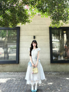 DUOMIAOTU | French Vintage Style Sweet Non-repetitive Long Dress